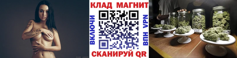 Магазины продажи наркотиков Щигры Конопля  Меф мяу мяу  АМФ  ГЕРОИН  СОЛЬ  ГАШ 
